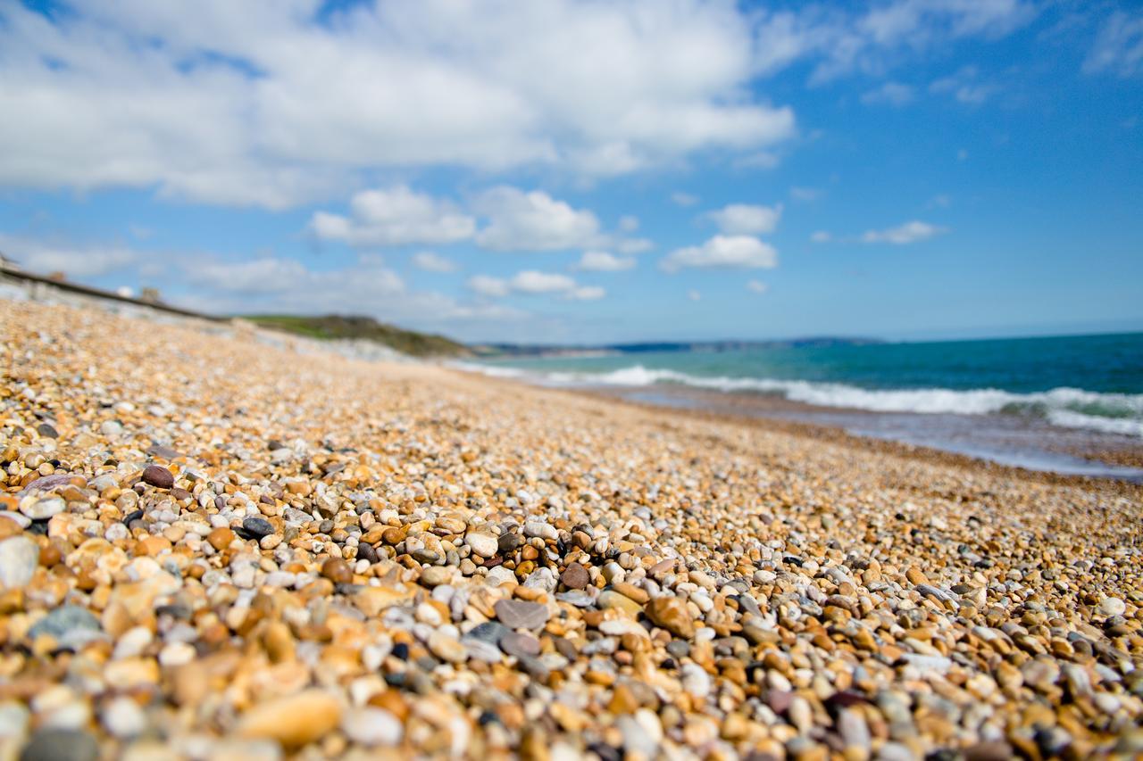 The Cricket Inn Beesands Dış mekan fotoğraf